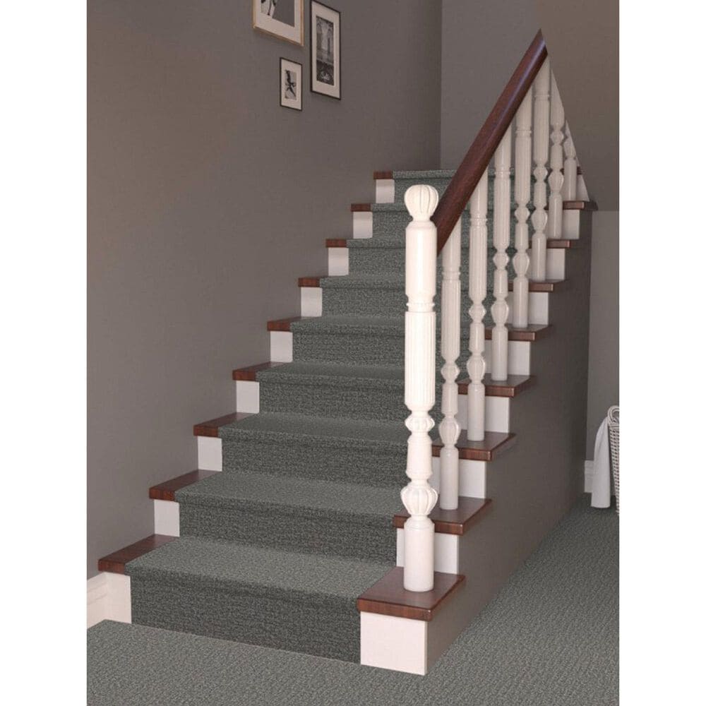Masland Offspring Carpet in Chew-Barka, , large