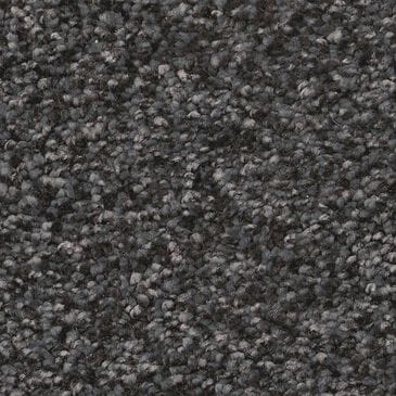 Shaw You Got This III Carpet in Shadow, , large