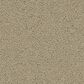 Phenix Lido Carpet in Tropic Tan, , large