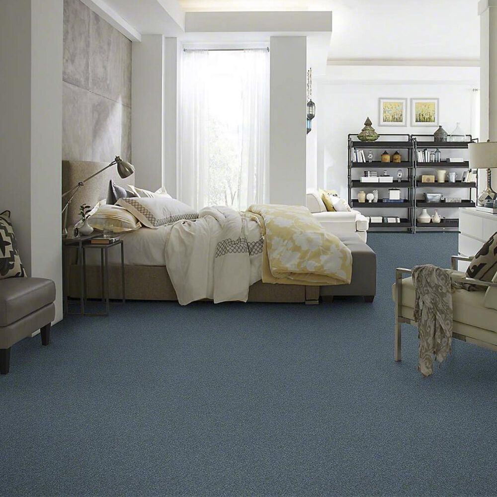 Anderson Tuftex Barracan Classic III Carpet in Boheme, , large