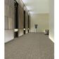 Shaw Crazy Smart 18" x 36" Carpet Tile in Ingenious, , large