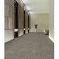 Shaw Raw Beauty 18" x 36" Carpet Tile in Savvy, , large