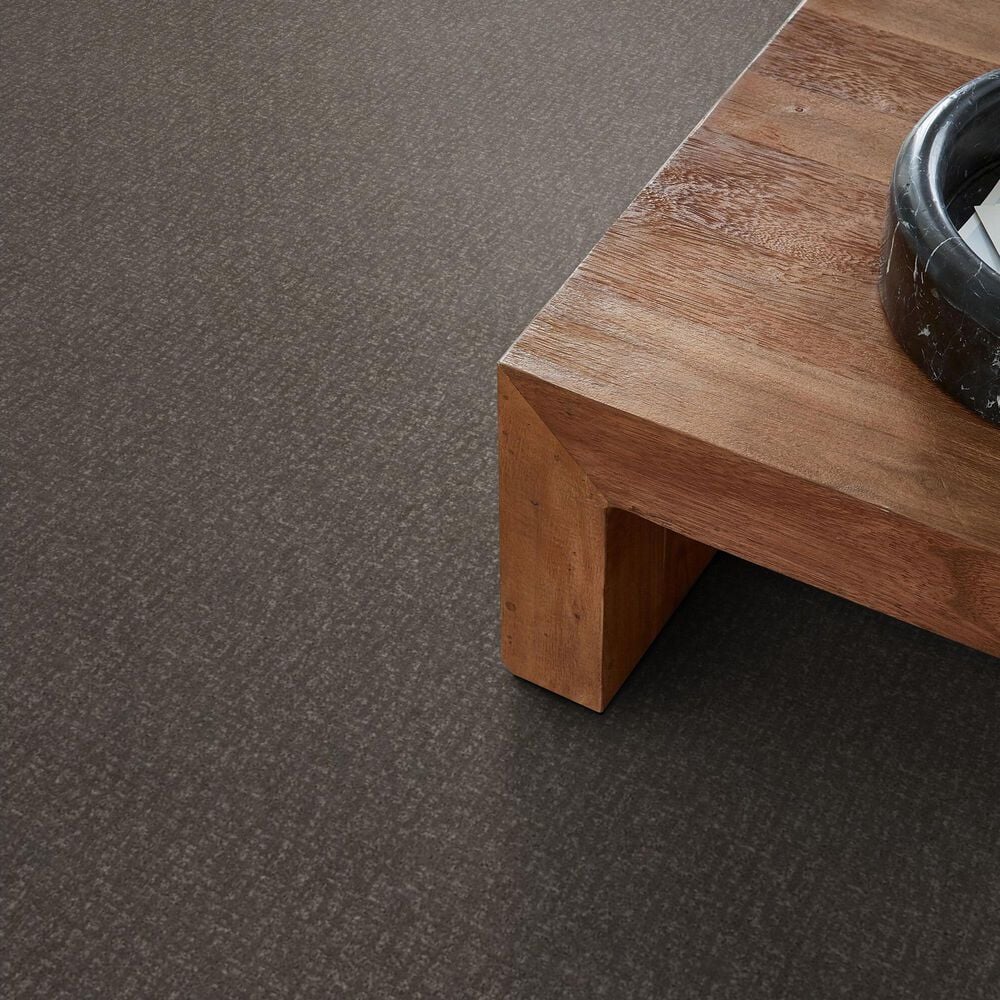 Anderson Tuftex Caboodle Carpet in Shade, , large