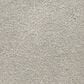 Masland Roadster Carpet in Clever, , large