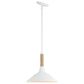 Golden Lighting Journey 1-Light Pendant in Natural White, , large