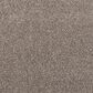 Mohawk Luxuriant Life Carpet in Cascade, , large