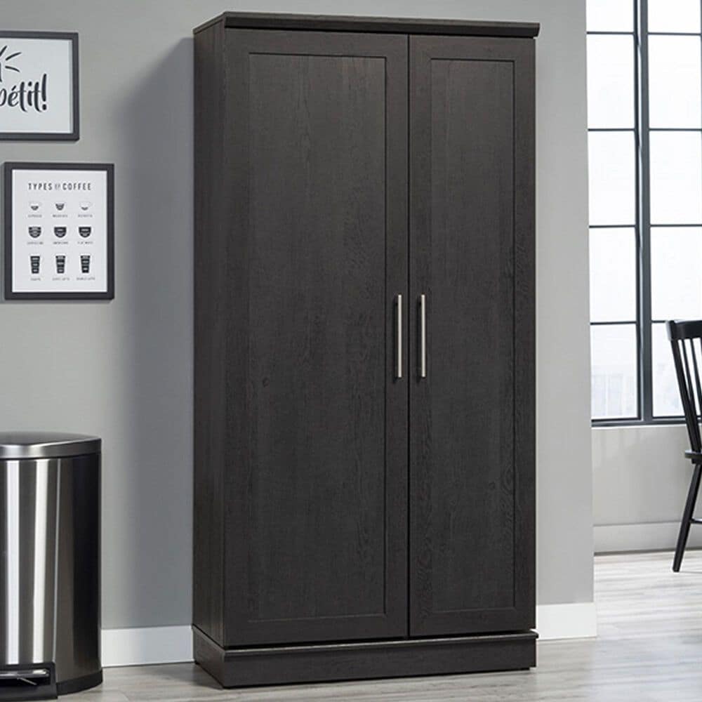 Sauder Homeplus 2-Door Storage Cabinet in Raven Oak, , large