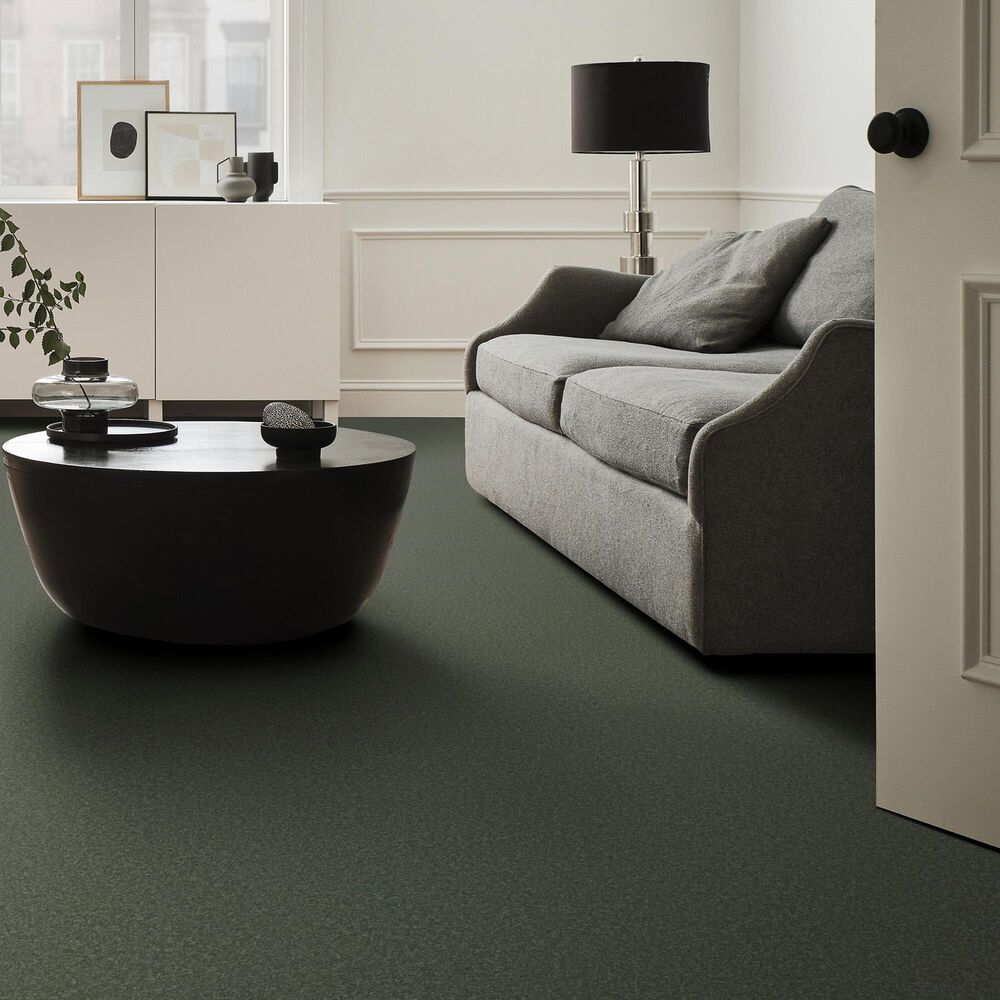 Anderson Tuftex Enduring Charm Carpet in Bereyl, , large