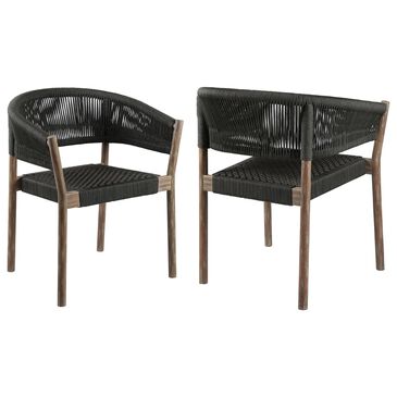 Blue River Doris Patio Dining Chair in Light Eucalyptus and Charcoal (Set of 2), , large