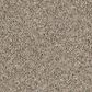 Shaw Frosting Carpet in Echo, , large
