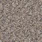 Shaw Trusplendor Carpet in Concrete, , large