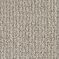 Shaw Sierra Vista Carpet in Quiet Moment, , large