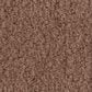 Anderson Tuftex Luxe Feel II Carpet in Sugar Maple, , large