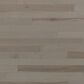 Lauzon Essential Expert Caliza Maple 3 1/8" Engineered Hardwood, , large