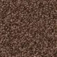 Shaw Tonal Comfort Ii Carpet in Chili, , large