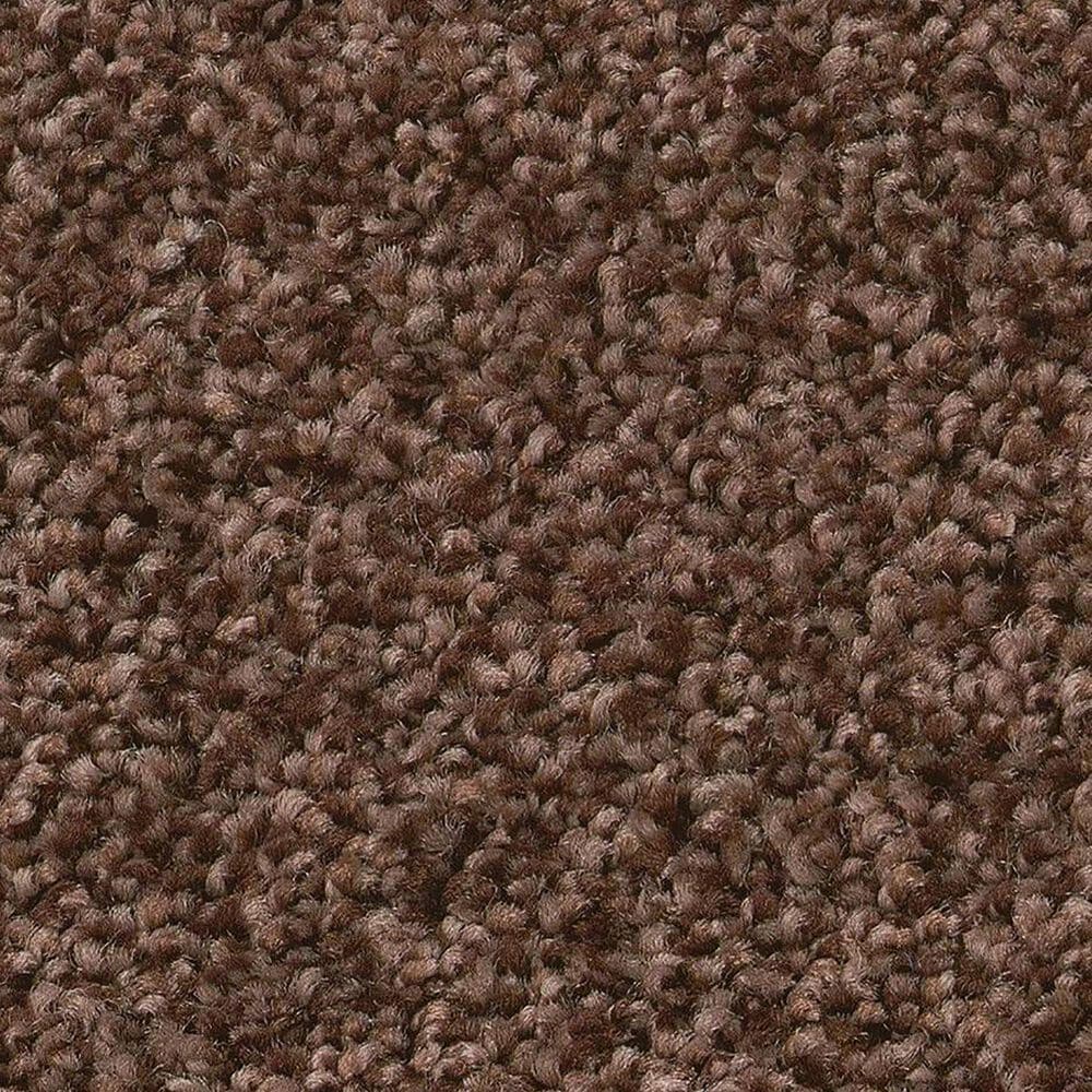Shaw Tonal Comfort Ii Carpet in Chili, , large