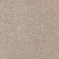 Mohawk Windsor Gardens I Carpet in Overcast, , large