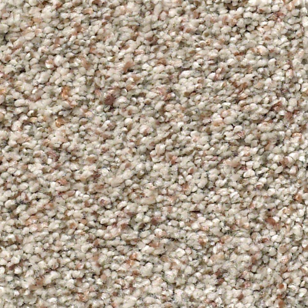 Shaw Find Your Comfort TA I Carpet in Backstage Pass, , large