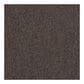 Shaw Scoreboard II 26 Carpet in Bonus, , large