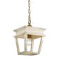 Golden Lighting Haiden Mini Pendant in Burnished Chestnut, , large