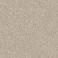 Masland Hawkshaw Carpet in Sandy, , large