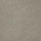 Dream Weaver PS260 Carpet in Iceberg, , large