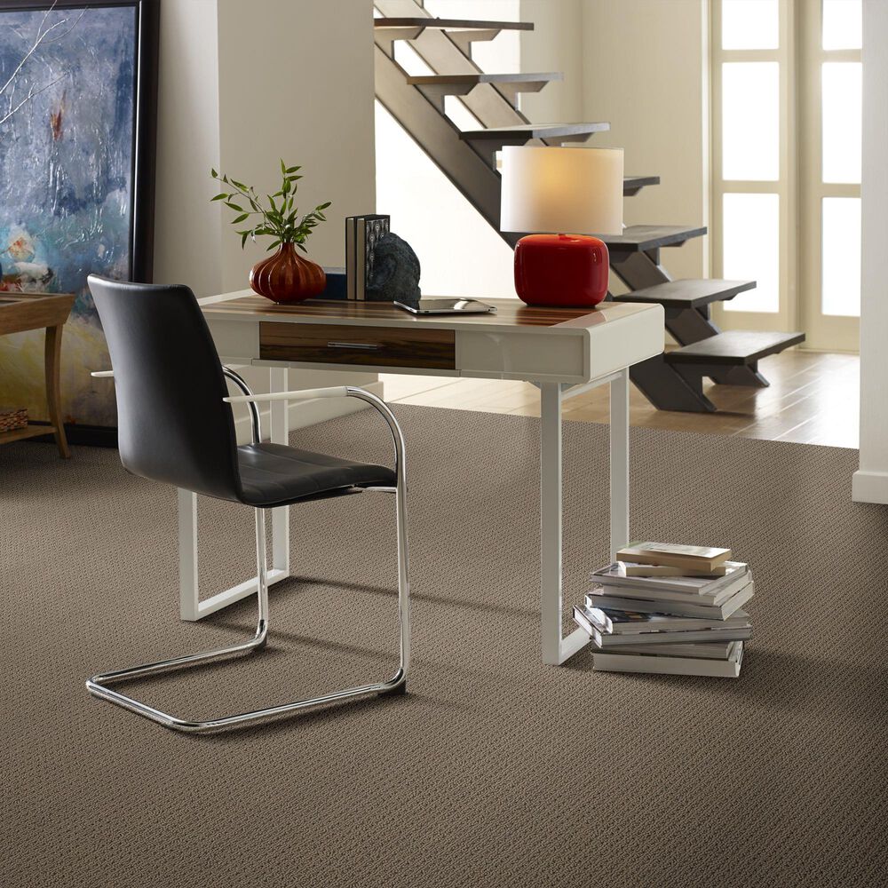 Anderson Tuftex San Lucas Carpet in Homestead, , large