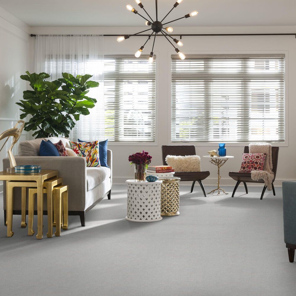 Shaw Find Your Comfort NS II Carpet in Bay Waves, , large