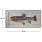 Creative Coop Shoreline 39.25" x 19.75" Paper Collage Fish Framed Wall Decor in Multicolor, , large
