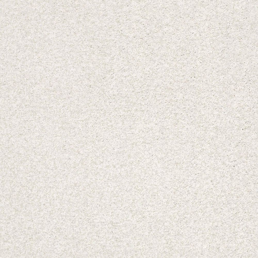 Shaw Tonal Comfort Ii Carpet in Neighborhood Bistro, , large