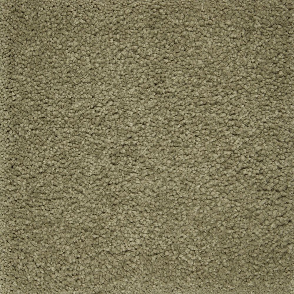 Mohawk Pleasant Touch Carpet in Valley Fog, , large