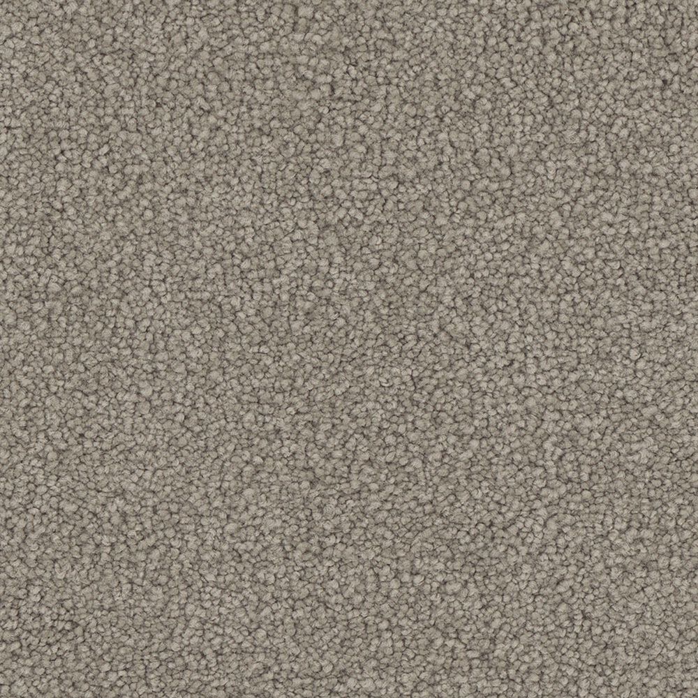 Phenix Emerson Carpet in Authentic, , large