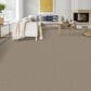 Dixie Home Worthington Carpet in Impression, , large