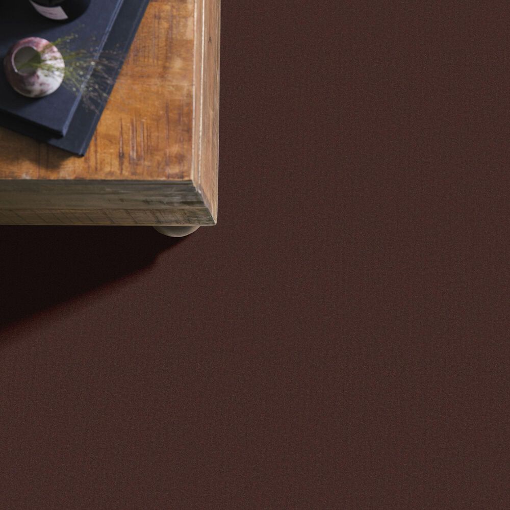 Anderson Tuftex Finery Carpet in Umber, , large