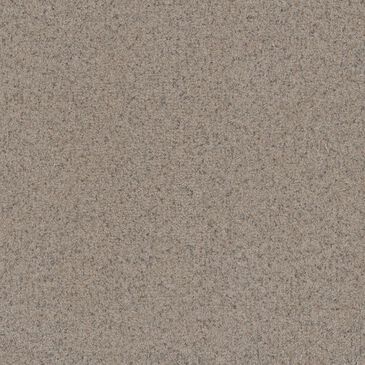 Dream Weaver Serene III Carpet in Cottondale, , large