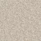 Dixie Home Swiss Alpine Carpet in Pet, , large