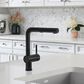 Blanco Linus 1.5 GPM Low-Arc Pull-Out Kitchen Faucet in Anthracite, , large