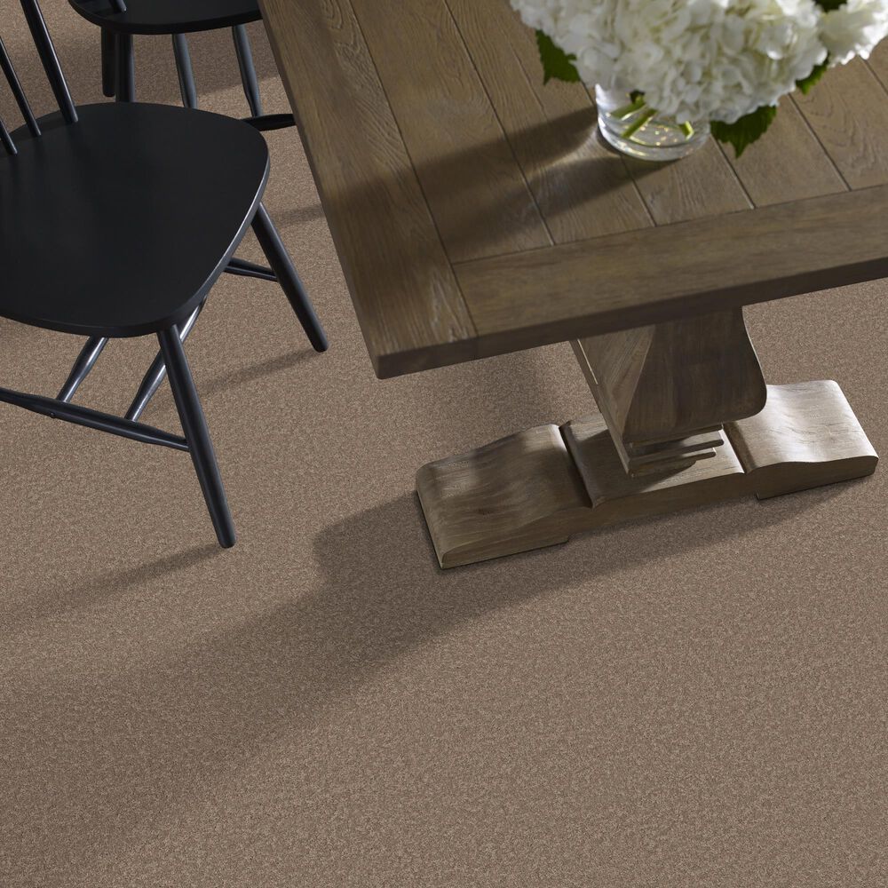 Philadelphia Champagne Taste II Carpet in Timberlake, , large