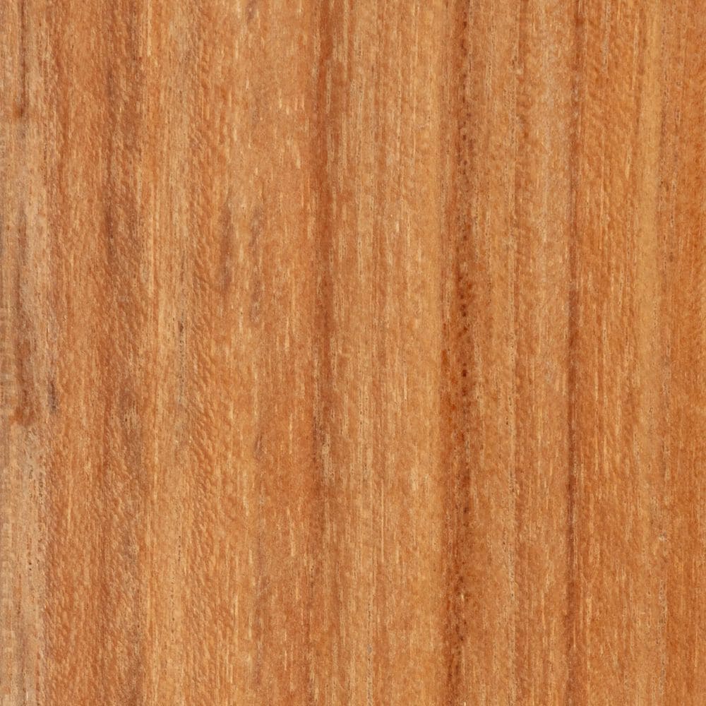 Linon Home Decor Cassius Slanted Back Bench in Off-White, , large