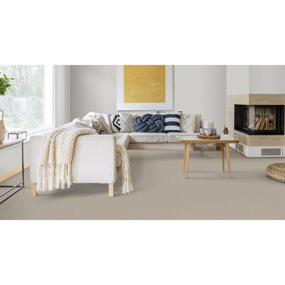 Dixie Home Winding Creek Carpet in Sandcastle, , large
