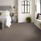 Shaw Cedar City Carpet in Arrowhead, , large