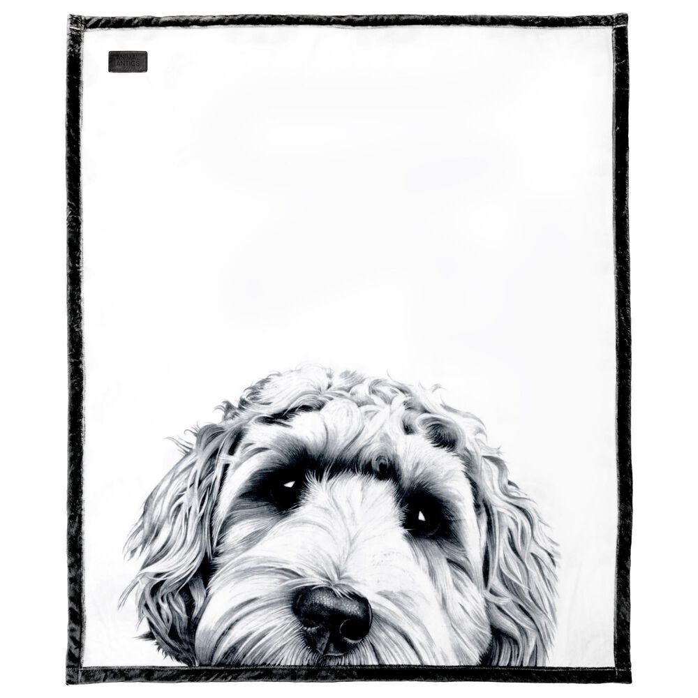 Pavilion Animal Antics Dog Royal Plush Blanket in White, , large