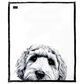 Pavilion Animal Antics Dog Royal Plush Blanket in White, , large