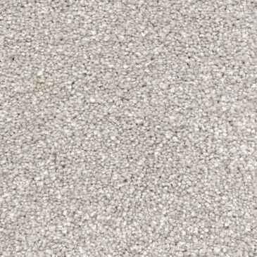Revolution Mills Magic Moment II Carpet in Alpine, , large