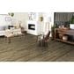 Robbins Pro-Tekt Weathered Warmth 7" x 60" Vinyl Plank, , large