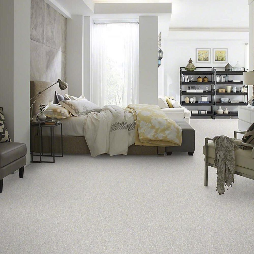 Shaw Barracan Classic IV Carpet in Silver Lining, , large