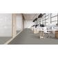 Masland Festivities Carpet in Granite, , large