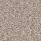 Shaw You Got This II Carpet in Subtle Clay, , large