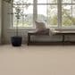 Anderson Tuftex Wyndham Estate Carpet in Windswept, , large