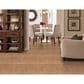 Stanton Costa Del Sol Carpet in Sunset, , large